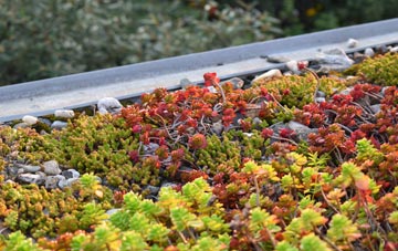 the cost of Eisingrug green roof installation