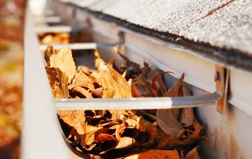 Eisingrug gutter cleaning companies