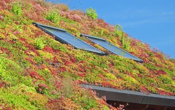 Eisingrug living roof systems